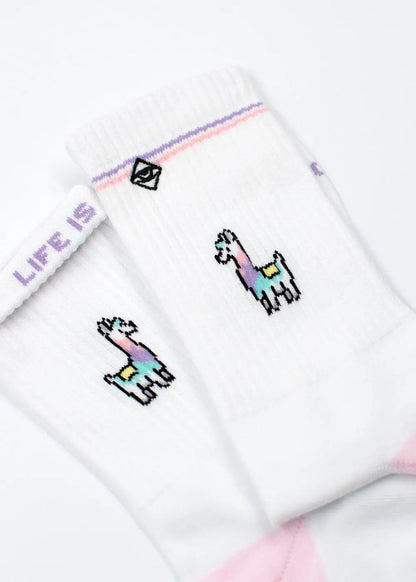 Die J.Clay Lama Socken haben kleine, bunte Lama-Illustrationen und einen lila Streifen am oberen Rand. "LIFE IS" steht in lila auf dem inneren Bündchen. Diese lustigen Socken sind auf einem weißen Hintergrund dargestellt.
