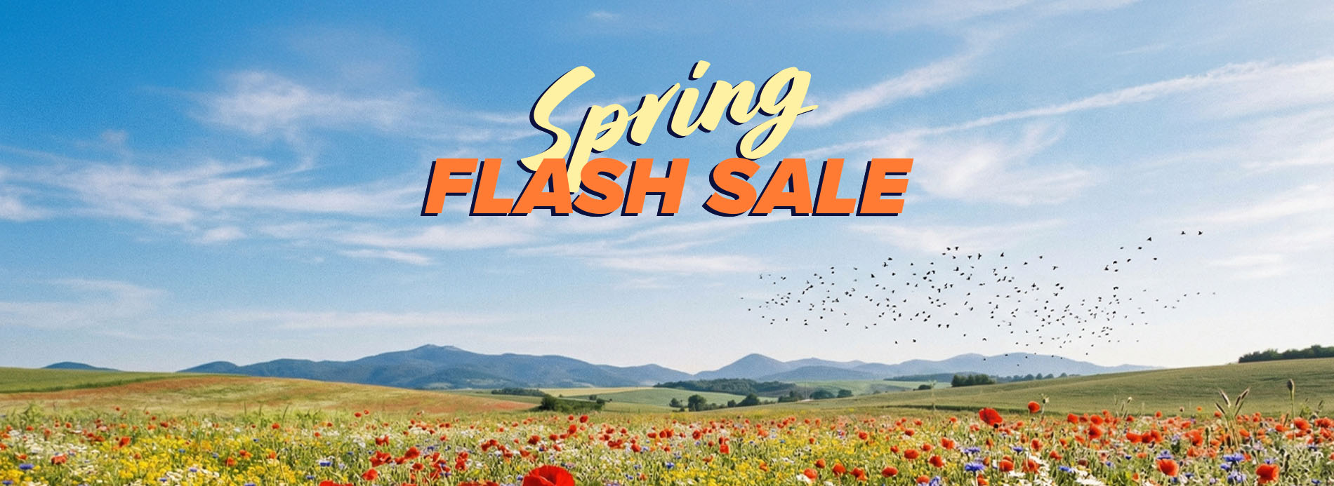 Landschaftliches Feld mit Blumen und Bergen; Text: Spring Flash Sale.
