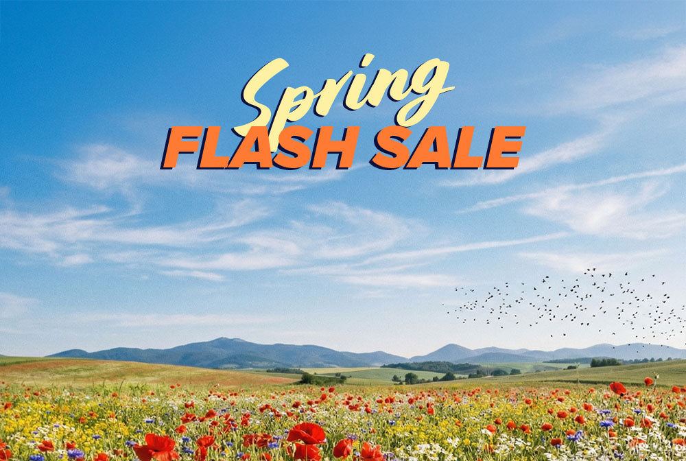 Text Spring Flash Sale über einem Feld von Wildblumen mit Bergen und blauem Himmel im Hintergrund.
