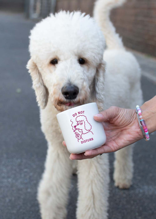 Weißer Pudel neben einer Hand, die ein „J.Clay Do not Disturb“-Schild hält – Tasse.